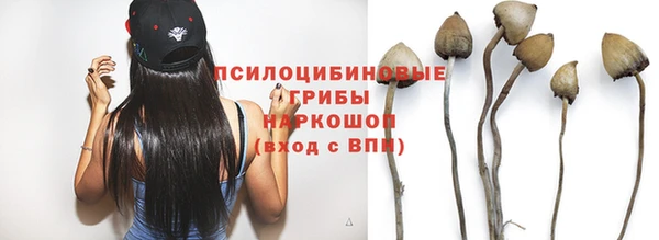 герыч Алзамай