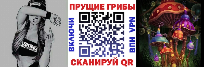 наркота Бакал Галлюциногенные грибы мухоморы